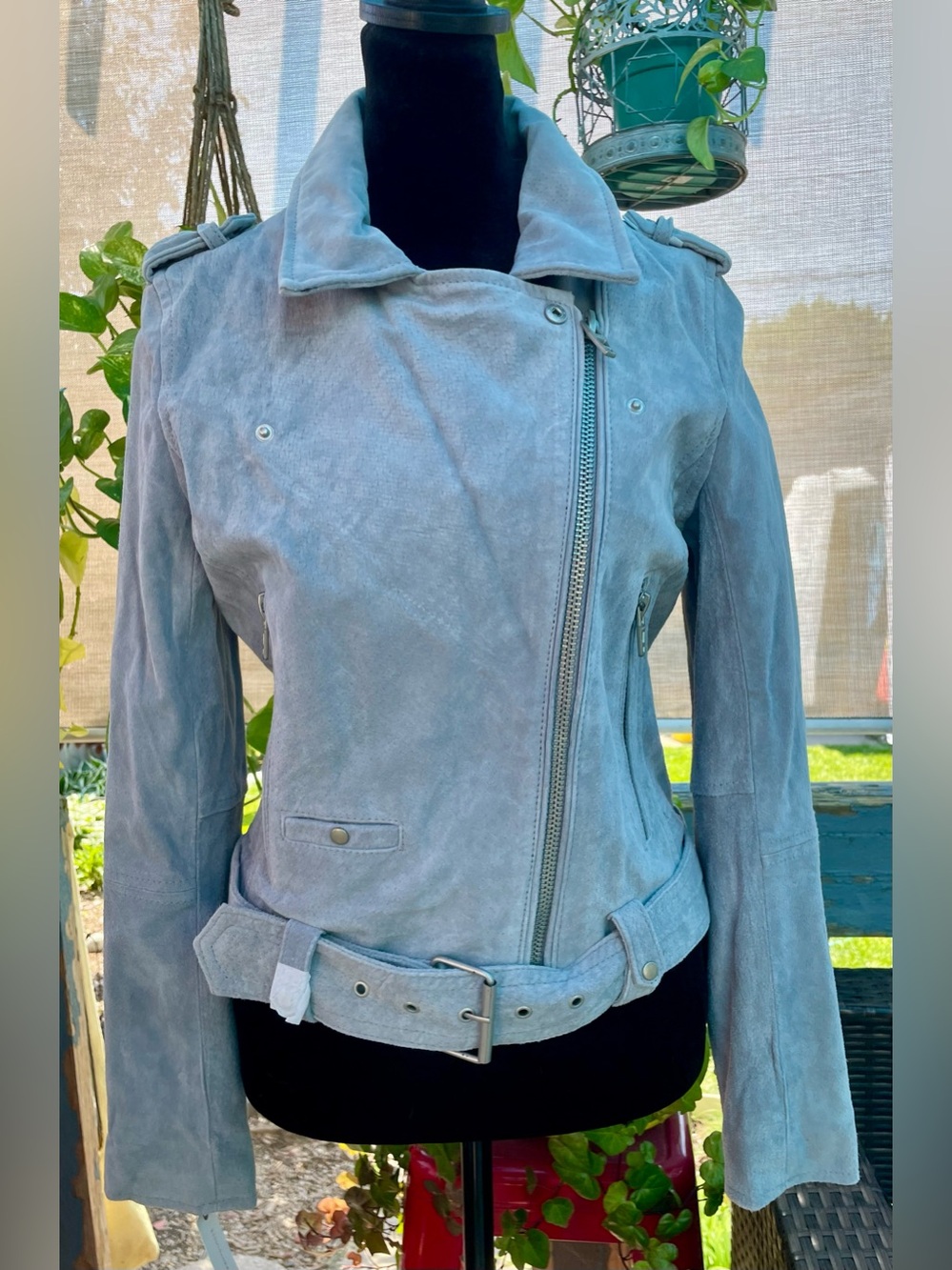 Anthropology BlankNYC Silver/Gray NWT Lined Suede Leather Small Moto Jacket - Picture 4 of 16